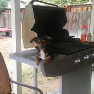 Meet your Posher, Jeanne